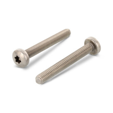 Lenskop cilinderschroef M6 x 75/75 mm ISO 14583 RVS A4-70 TX30 (100 stuks)