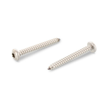 Plaatschroef met platte kop C 6,3 x 50 mm ISO 14585 RVS A4 TX30 (200 stuks)