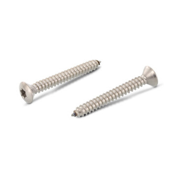 Verzonken plaatschroef met lenskop C 2,9 x 22 mm ISO 14587 RVS A4 TX10 (1000 stuks)