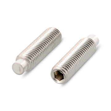 Stelschroef met nok M4 x 12 mm ISO 4028 RVS A2 SW2 (500 stuks)