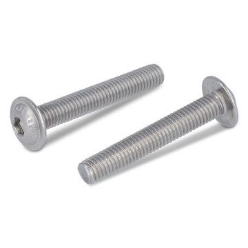 Platkopschroef M4 x 40/40 mm ISO 7380 RVS A2-50 SW2,5 (200 stuks)