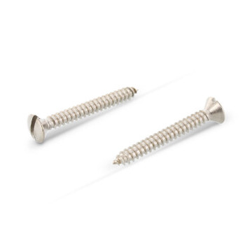 Verzonken plaatschroef met lenskop C 4,8 x 60 mm DIN 7973 RVS A2 (200 stuks)