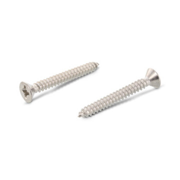 Vezonken plaatschroef C 3,5 x 60 mm DIN 7982 RVS A2 PZ2 (500 stuks)