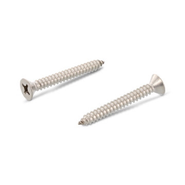 Vezonken plaatschroef C 4,8 x 38 mm DIN 7982 RVS A4 PH2 (500 stuks) Vezonken plaatschroef C 4,8 x 38 mm DIN 7982 RVS A4 PH2 (500 stuks)