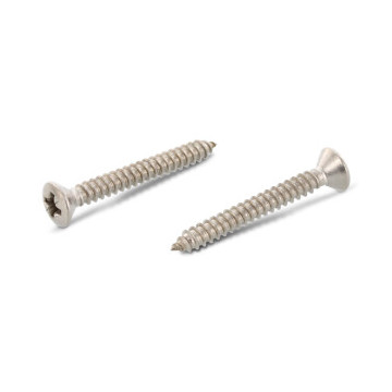 Verzonken plaatschroef met lenskop C 4,8 x 45 mm DIN 7983 RVS A2 PZ2 (200 stuks)