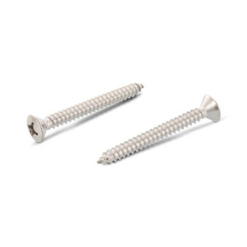 Verzonken plaatschroef met lenskop C 3,9 x 50 mm DIN 7983 RVS A4 PH2 (500 stuks)