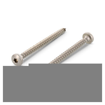 Houtbouwschroef rondkop 6,0 x 100 mm Art. 9045 RVS A2-50 TX25 (100 stuks)