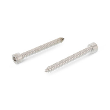 Plaatschroef C 5,5 x 40 mm Art. 9051 RVS A2-50 SW5 (500 stuks)