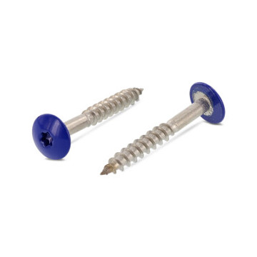Trespo houtschroef plat-ronde kop 4,8 x 25 mm RAL 5002 Art. 9086 RVS A2-50 TX20 (100 stuks)