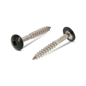 Trespo houtschroef plat-ronde kop 4,8 x 25 mm RAL 6009 Art. 9086 RVS A2-50 TX20 (100 stuks)