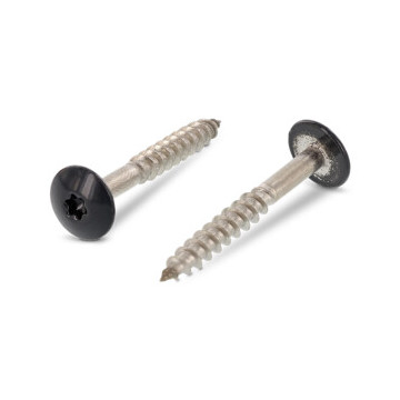 Trespo houtschroef plat-ronde kop 4,8 x 25 mm RAL 7016 Art. 9086 RVS A2-50 TX20 (100 stuks)