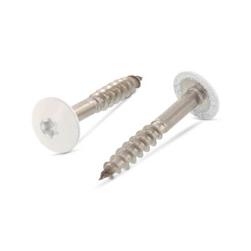 Trespo houtschroef plat-ronde kop 5,5 x 32 mm RAL 9010 Art. 9086 RVS A4-50 TX20 (100 stuks)