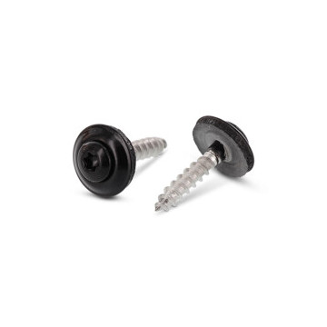 Spenglerschroef 4,5 x 25 mm RAL 9005 Art. 9087 RVS A2-50 TX20 (200 stuks)
