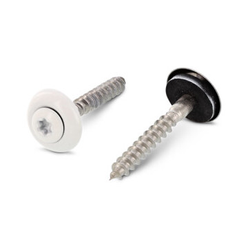Spenglerschroef 4,5 x 25 mm RAL 9010 Art. 9087 RVS A2-50 TX20 (200 stuks)