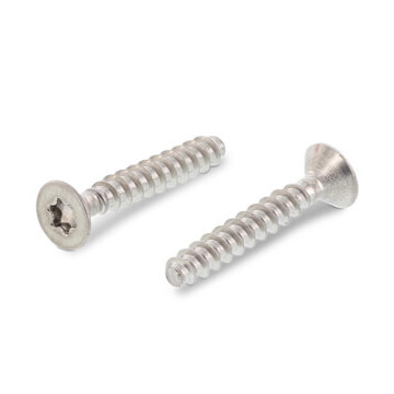 Verzonken schroef voor kunststof 4,0 x 12 mm Art. 9090 RVS A2-50 TX20 (500 stuks)