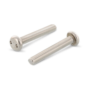 Veiligheidsschroef cilinderkop 2-hole M3 x 12 mm Art. 9101 RVS A2-50 SP4 (100 stuks)