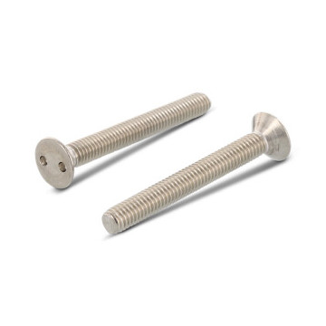 Veiligheidsschroef cilinderkop verzonken 2-hole M6 x 25 mm Art. 9103 RVS A2-50 SP1/4 (100 stuks)