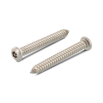 Veiligheidsschroef met pin C 5,5 x 25 mm Art. 9110 RVS A2-50 SW4 PIN (100 stuks)