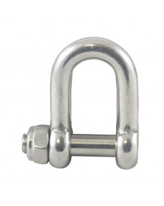 D-sluiting met binnenzeskant en veiligheidsmoer 5 mm RVS-316