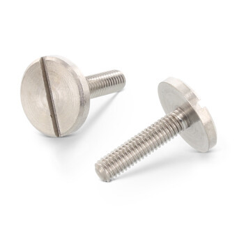 QUARKZMAN Platte kopschroeven met binnenzeskant, M3 - 0,5 x 14 mm, 20